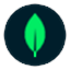 MongoDB